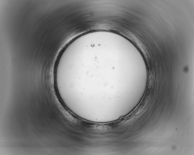 X0000103260795200809191717