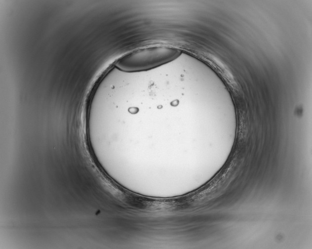 X0000103260796200809191717