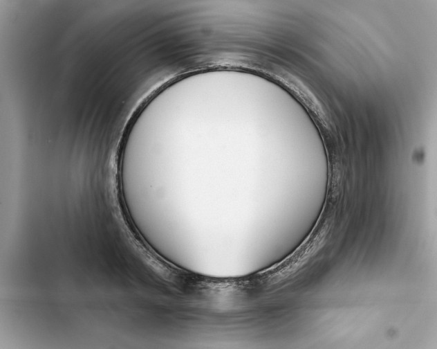 X0000103260798200809191717