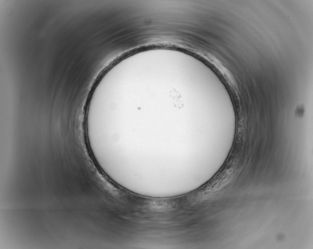 X0000103260799200809191717