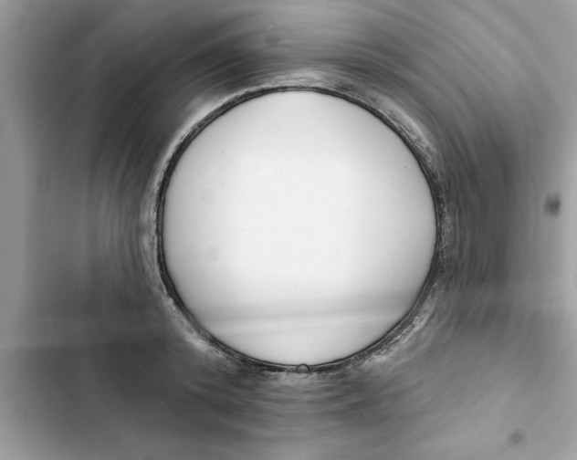 X0000103260800200809191717