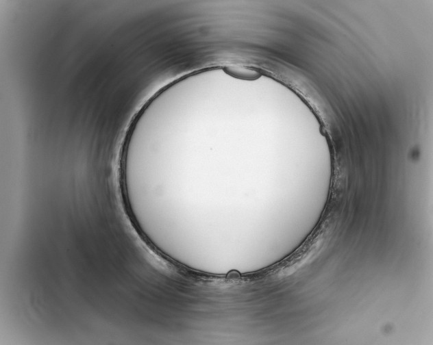 X0000103260803200809191717