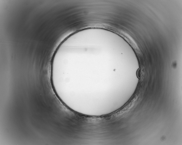 X0000103260804200809191717