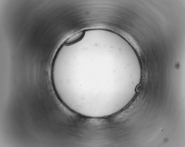 X0000103260805200809191717