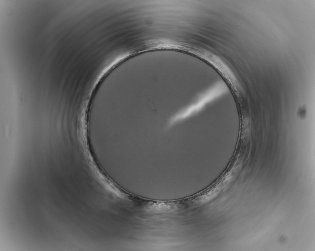 X0000103260806200809191717