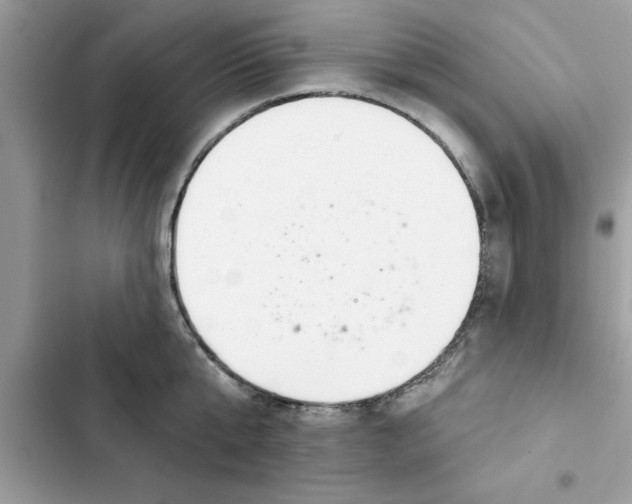 X0000103260807200809191717