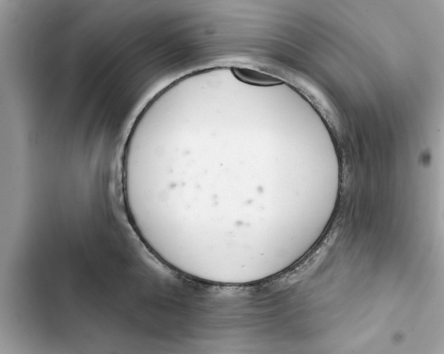 X0000103260808200809191717