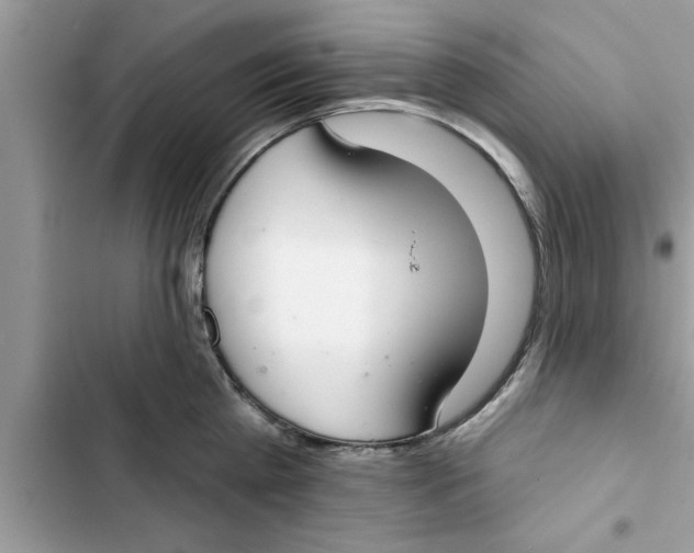 X0000103260809200809191717