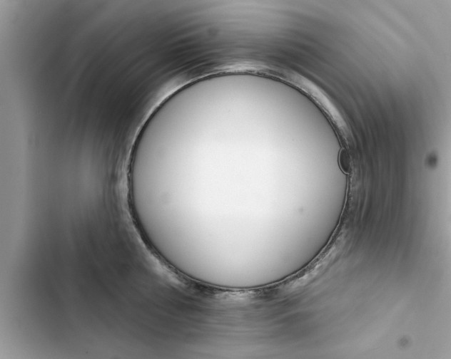 X0000103260810200809191717