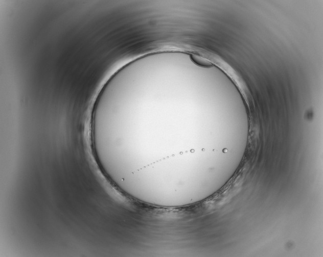 X0000103260811200809191717