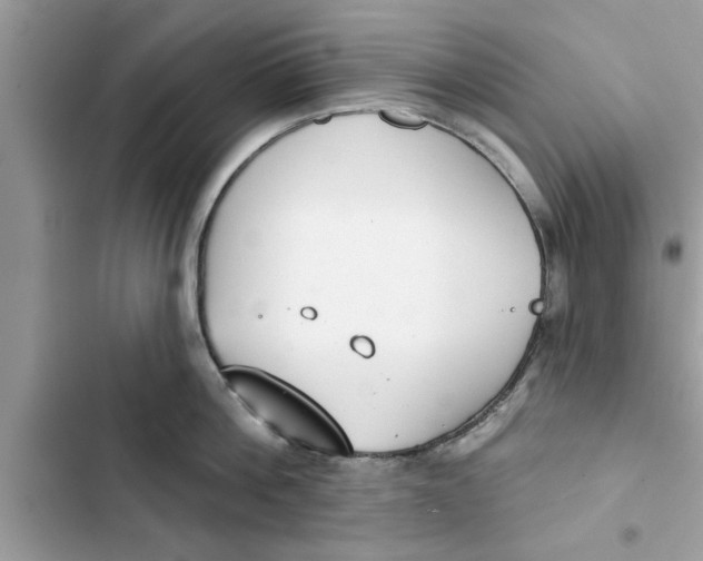 X0000103260812200809191717