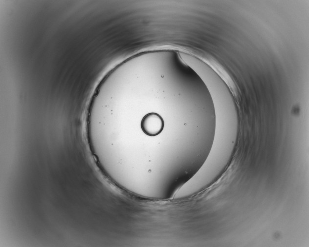 X0000103260813200809191717