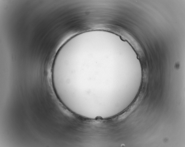 X0000103260814200809191717