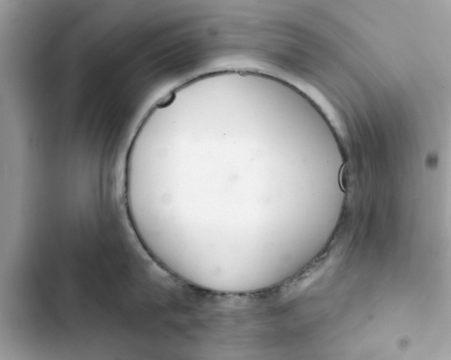 X0000103260815200809191717