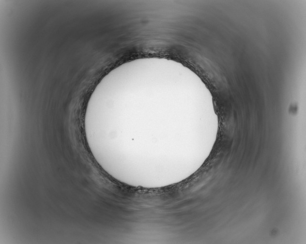 X0000103260817200809191716