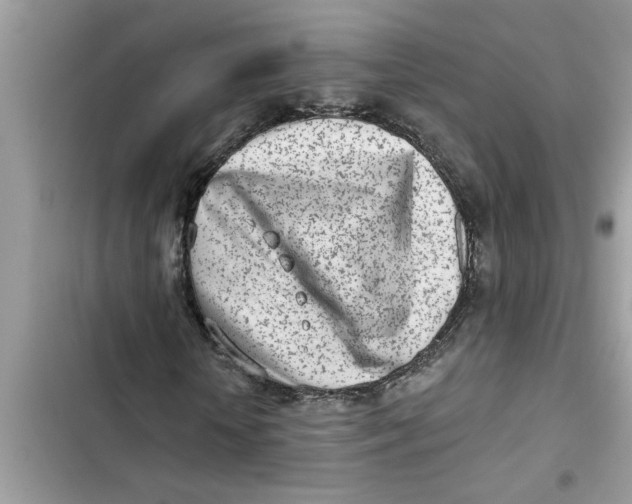 X0000103260818200809191716