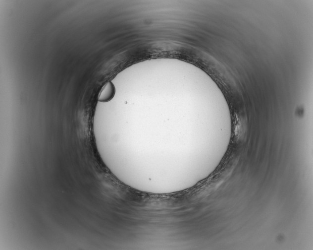 X0000103260819200809191716