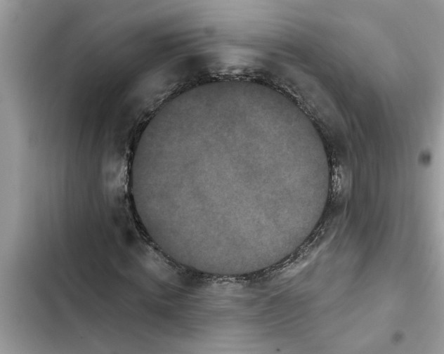 X0000103260820200809191716