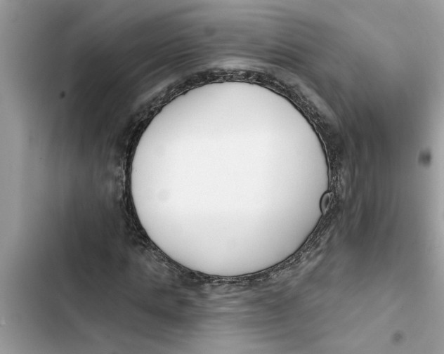 X0000103260821200809191716