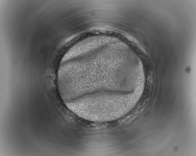 X0000103260822200809191716