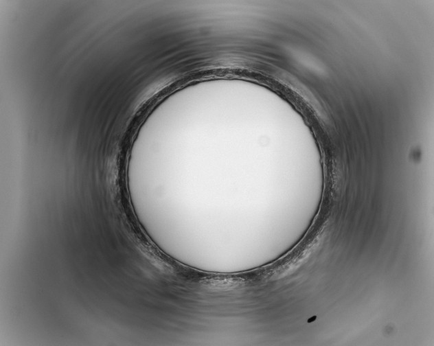 X0000103260826200809191716