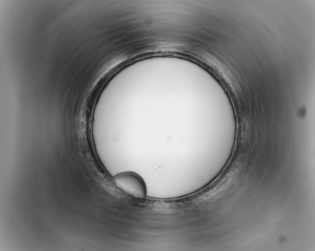 X0000103260827200809191716