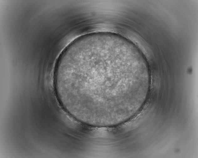 X0000103260828200809191716