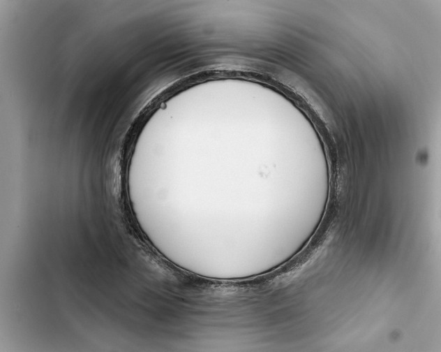 X0000103260829200809191716