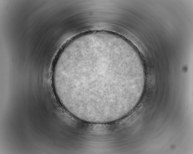 X0000103260832200809191716