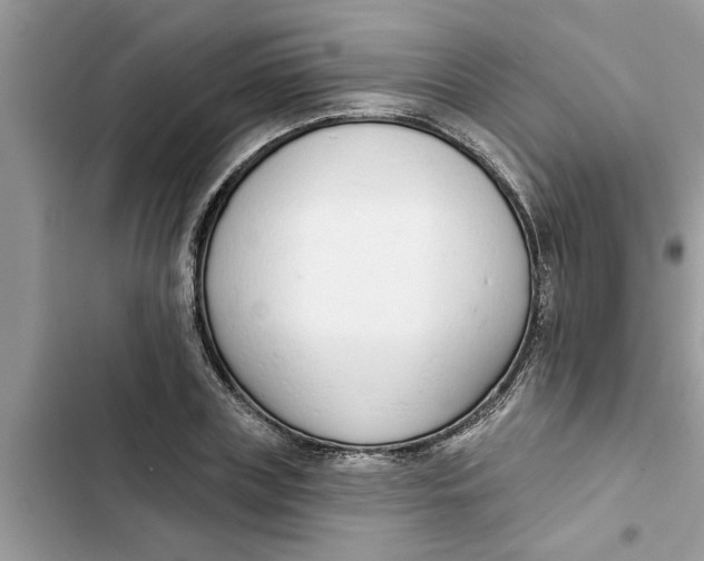 X0000103260835200809191716