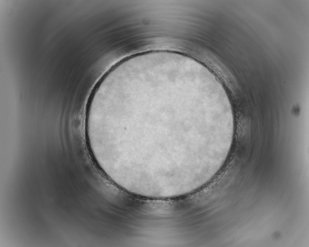 X0000103260836200809191716