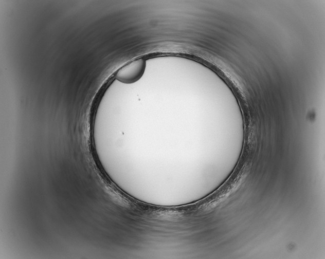 X0000103260837200809191716