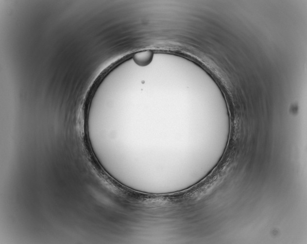 X0000103260838200809191716