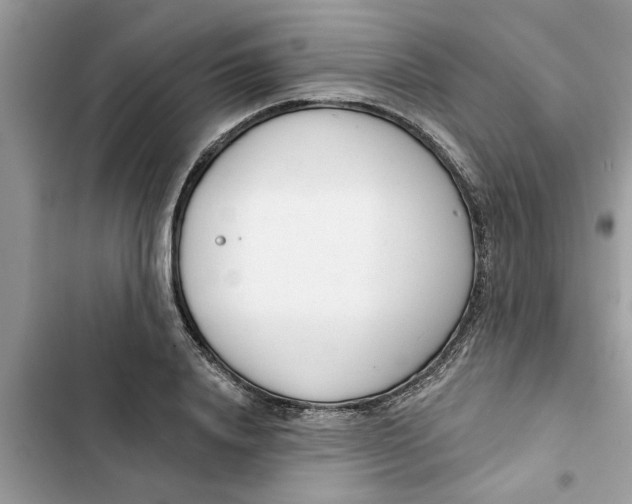 X0000103260840200809191716