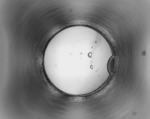 X0000103260841200809191716