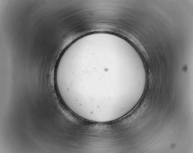 X0000103260842200809191716