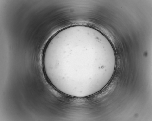 X0000103260843200809191716