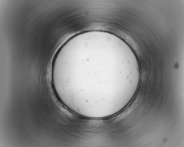 X0000103260844200809191716