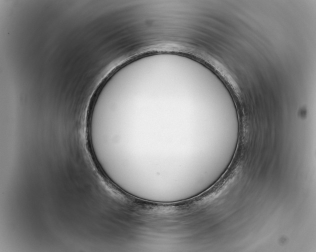 X0000103260845200809191716