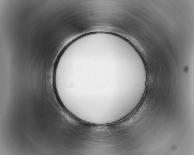 X0000103260846200809191716