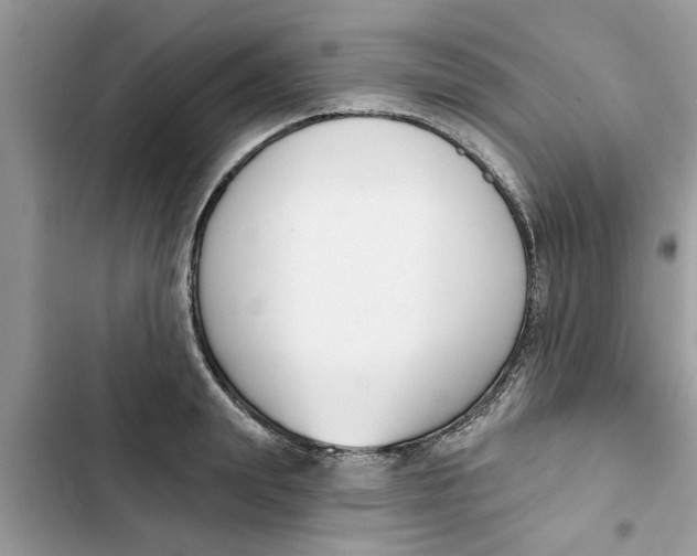 X0000103260847200809191717