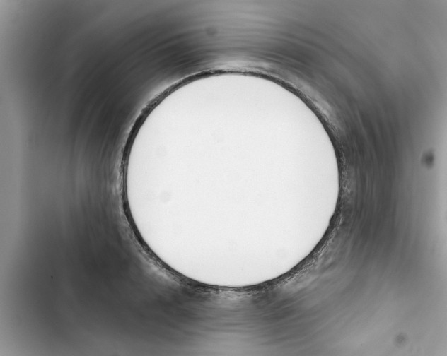 X0000103260848200809191717