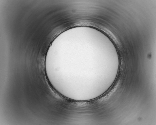 X0000103260849200809191717