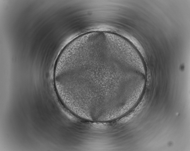 X0000103260850200809191717