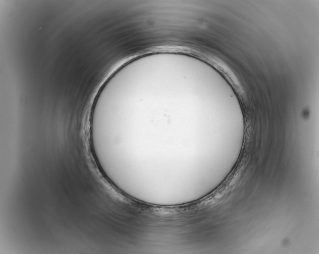 X0000103260852200809191717