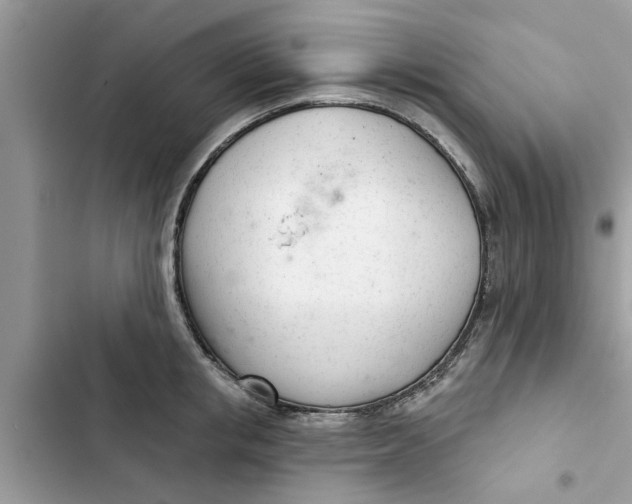 X0000103260853200809191717