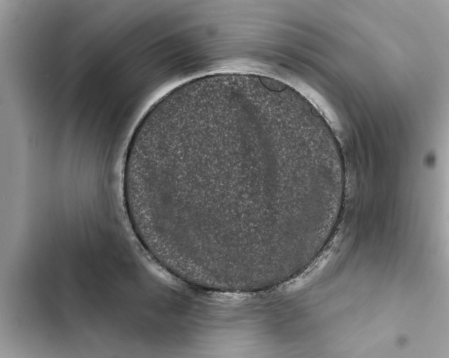 X0000103260854200809191717