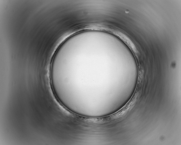 X0000103260855200809191717