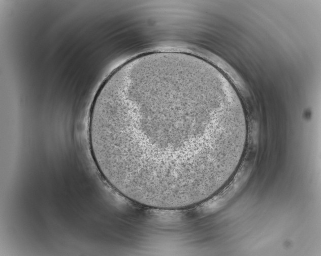 X0000103260856200809191717