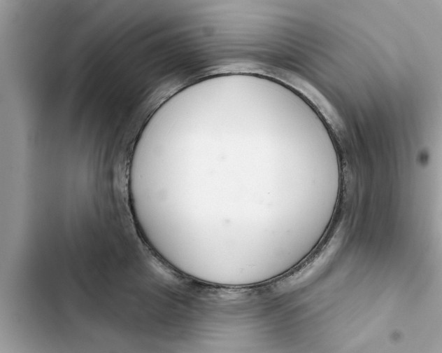 X0000103260857200809191717